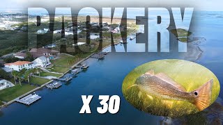 30 Redfish in One Trip?! | Epic Fishing Packery Channel Flats (Corpus Christi, TX)