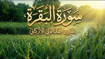 سورة البقرة ( كاملة ) للقارئ عبد الولي الاركاني | تلاوة هادئة تريح القلب سورة البقرة