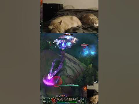 taliyah predict #chadjungle on #Twitch - YouTube