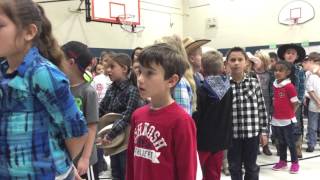 IMG 3368
