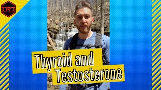 Understanding the Testosterone And Thyroid Relationship