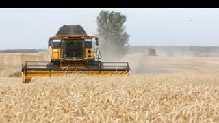 Colère des agriculteurs : des permanences pour recenser les exploitations au bord de la faillite