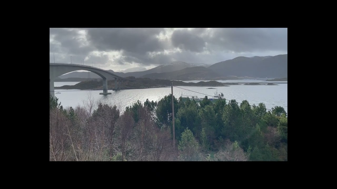 230302 Scanbio Elida