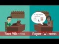 What is an expert witness