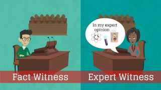 What is an expert witness?