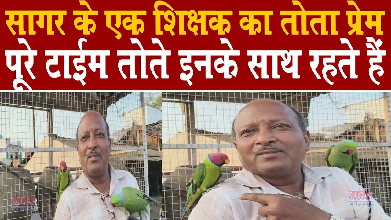 सागर के केसली में शिक्षक के साथ रहते हैं दो तोते मोबाइल भी चलाते हैं पैसे भी गिनते हैं