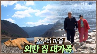 매일 강을 건너는 노부부의 외딴 집. 그곳엔 3대 가족과 동물 식구가 살고 있다  | 동강의 봄날 | KBS 인간극장 2011 방송