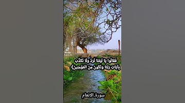سورة الانعام بصوت القارئ عمر عبد العزيز