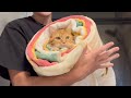 Worlds largest purrito