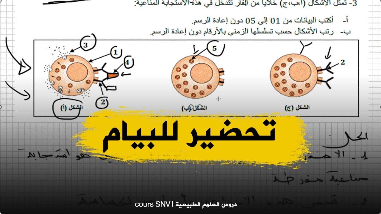 تمرين رائع على الحساسة علوم طبيعية للسنة الرابعة متوسط للبيام