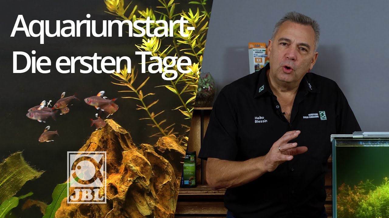 JBL TV #68 Einlaufphase im Aquarium - Bakterien, Nitritpeak & die ersten Bewohner