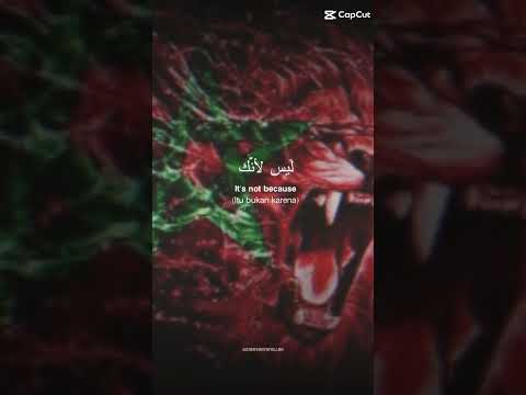 الصحراء الغربيه مغربية و الصحراء الشرقية مغربية حقيقة تاريخية