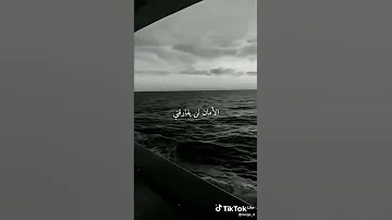 صاحب قلبي الوحيد 