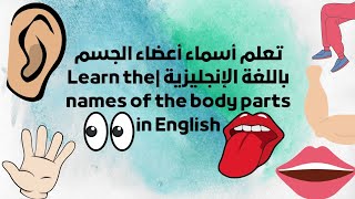 تعلم أسماء أعضاء الجسم باللغة الإنجليزية|Learn the names of the body parts in English