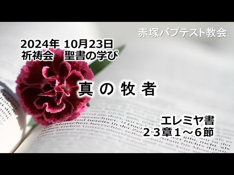 真の牧者　エレミヤ書 23章1〜6節 2024/10/23 WED.　赤塚教会祈祷会 聖書の学び