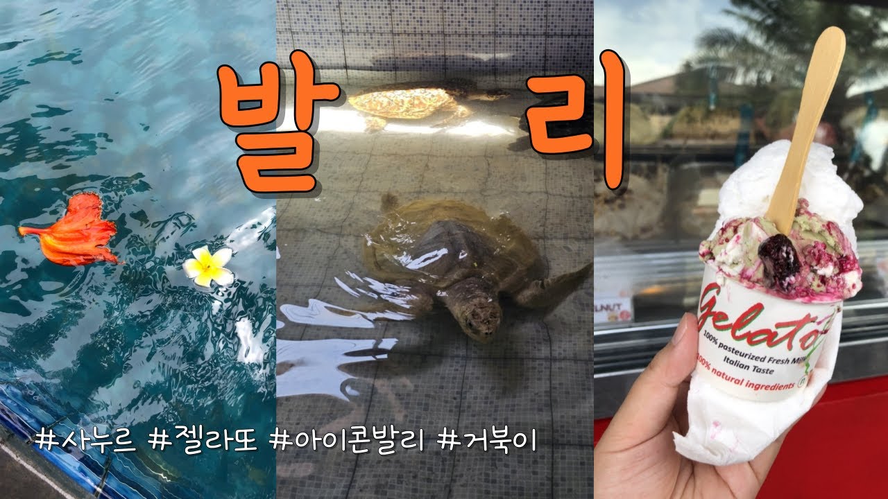 발리 여행 브이로그 1 ✈️ 혼자 사누르에서 먹고 놀기