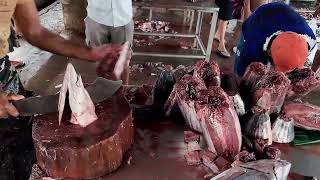 Big Tuna Fish Cutting Sri Lanka | Fish Cutting Experts