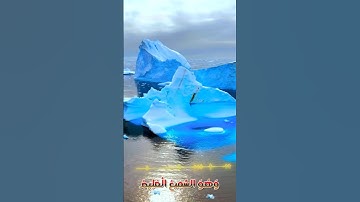 سورة الأنبياء و،كا.نك تسمعها لأو.ل مر.ة🌼🏵️،؛💝💕💟📯🌹بصوت الشيخ حمزة مد،،بو.ح 🌻💘؛.🏵️💔،❣️،.🌷💝
