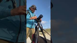 A Visual Journey Behind The Camera
