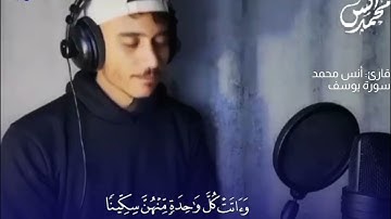 القارئ أنس محمد