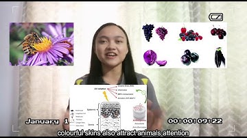 360 seconds with OChem Daily - Anthocyanin
