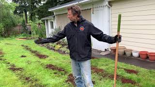 Coffee Grounds for Organic Lawn Care (Part 1 - Spring Application)