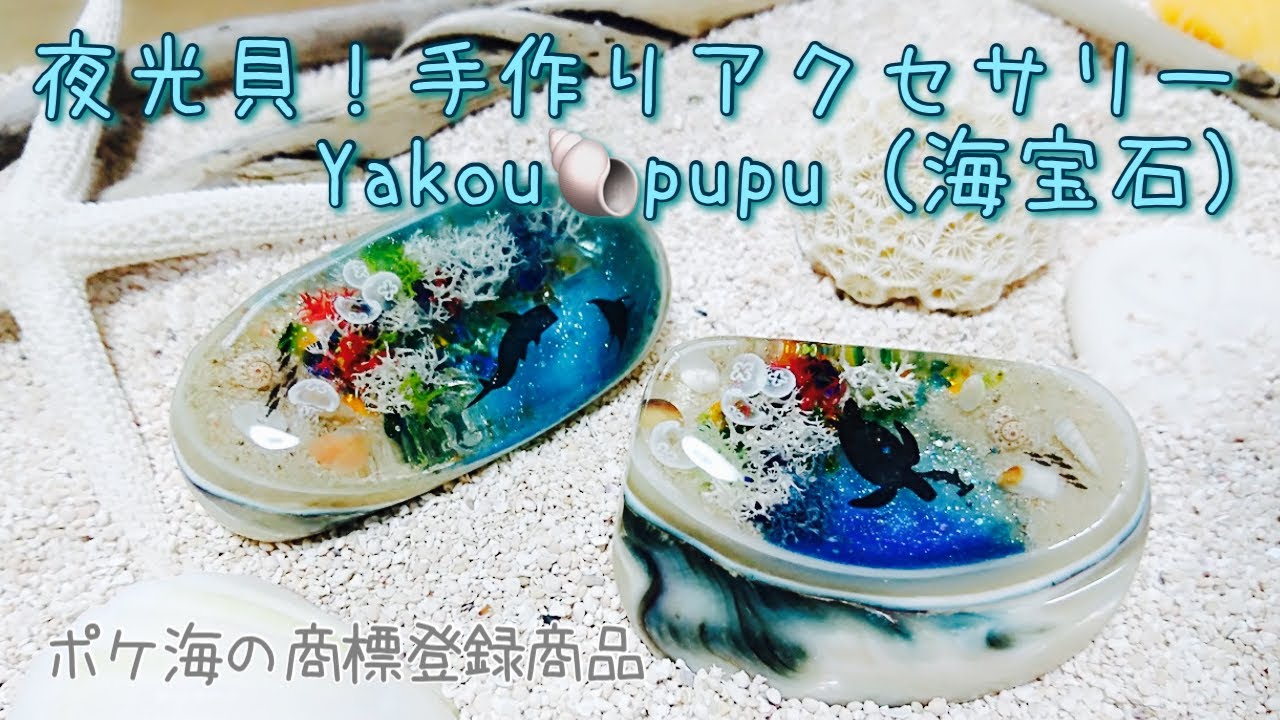 特大夜光貝　ヤコウ貝　まとめ売り　16個　　22、6kg アクセサリー　ルアー 夜光貝 ヤコウ貝 まとめ売り 18個 16、9kg アクセサリー ルアー