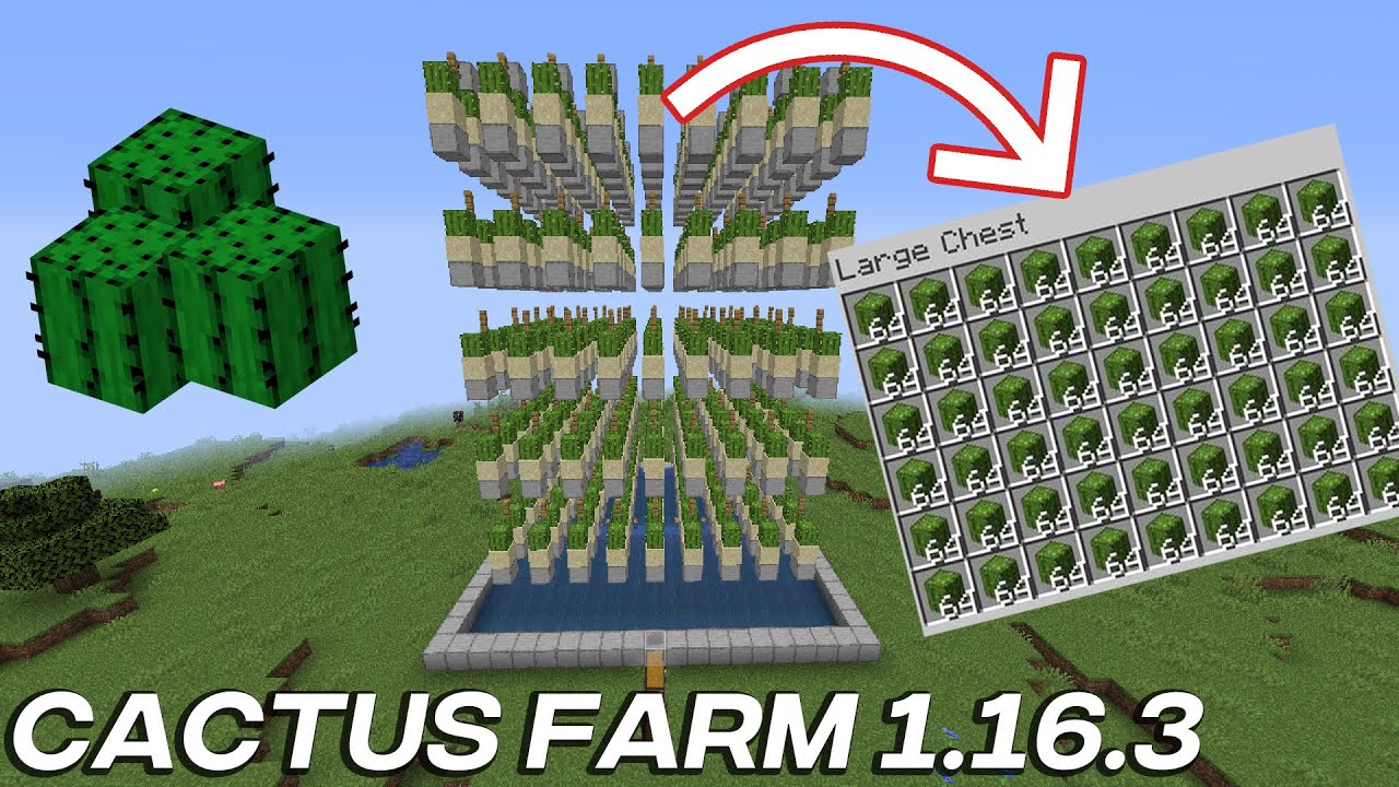 Cactus Farm - Minecraft 1.16.3 - Easy & Simple - YouTube