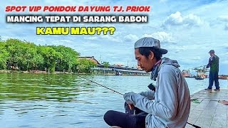 MANCING DI PONDOK DAYUNG TANJUNG PRIUK TERBARU | MANCING DI PELABUHAN TANJUNG PRIUK TERBARU