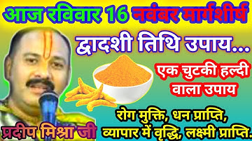 आज 16 नवंबर मार्गशीर्ष रविवार द्वादशी तिथि को 1 छुटकी हल्दी वाला उपाय अवश्य करे।।#Pradeep_Mishra_ji.