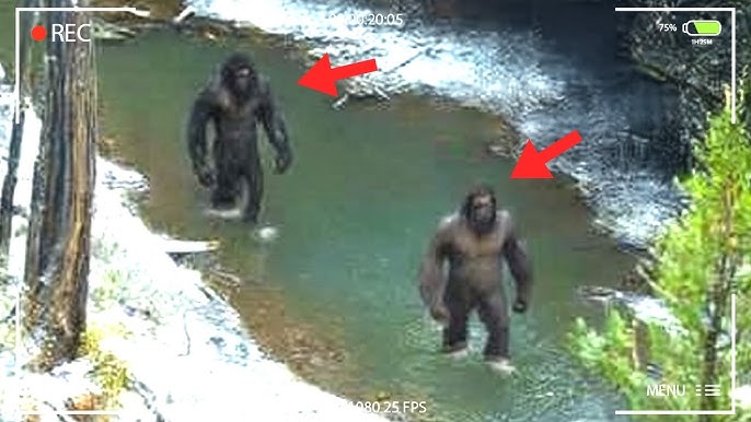 Bryce Johnson: "Our Drone Captured The Terrifying Truth We've Been  Chasing!" | Expedition Bigfoot - YouTube