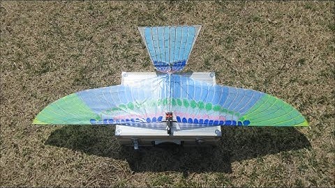 59 Servo direct drive Unit2 6th  blue Bird Video(1)