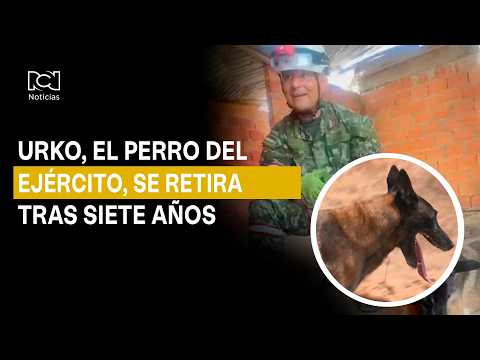Urko, the dog that helped after the earthquake, retires after seven years in the Army