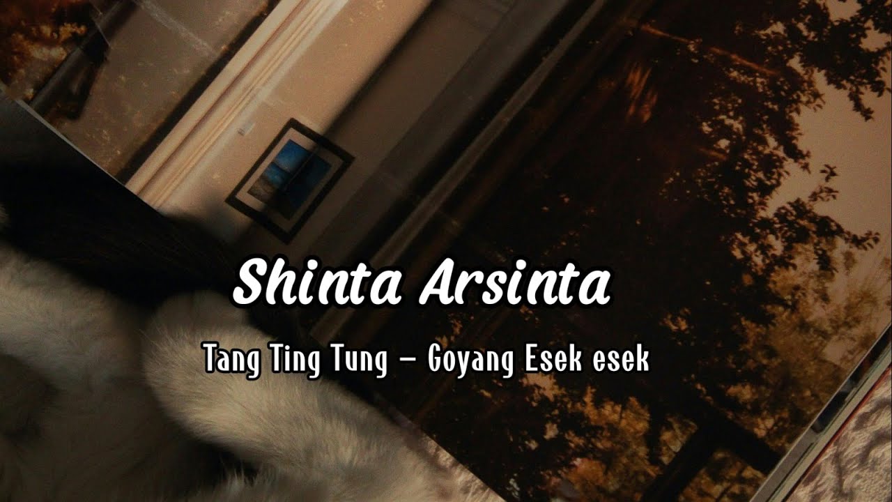 Shinta Arsinta - Tang Ting Tung  Goyang Esek Esek (lirik)
