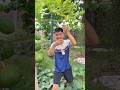 That hateful garden owner