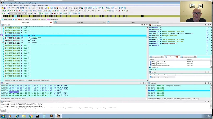 How To Defeat Anti-VM and Anti-Debug Packers With IDA Pro