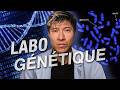 Immersion en laboratoire de GÉNÉTIQUE thumbnail