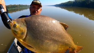 RIO SÃO FRANCISCO E SUAS SURPRESAS PESCARIA DE PACU CARANHA!