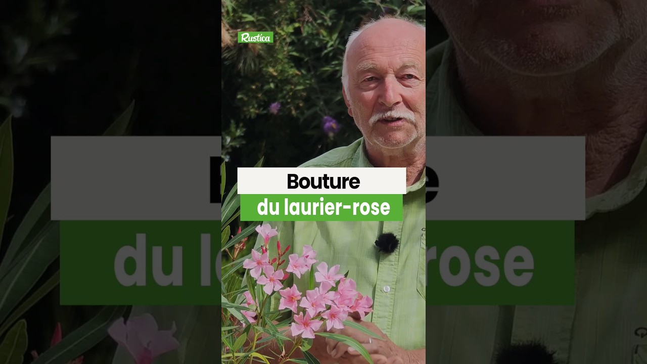 Le tutoriel d'Hubert Fontaine pour bien bouturer votre laurier-rose 🌸