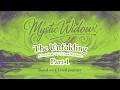 The Unfolding: A Lived Journey 💞 Twin Soul Reflections Episode 11 (S1) Part 1🕯️Mystic Widow