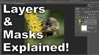 Photoshop Layers & Masks EXPLAINED! screenshot 4