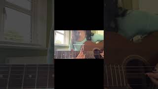 not a lot, just forever - adrianne lenker