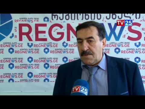 ვლადიმერ ხომერიკი 8 ოქტომბრის არჩევნებზე