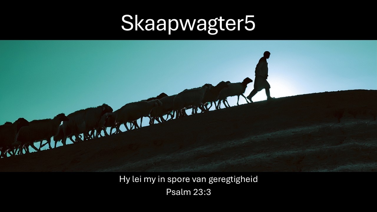 Skaapwagter5