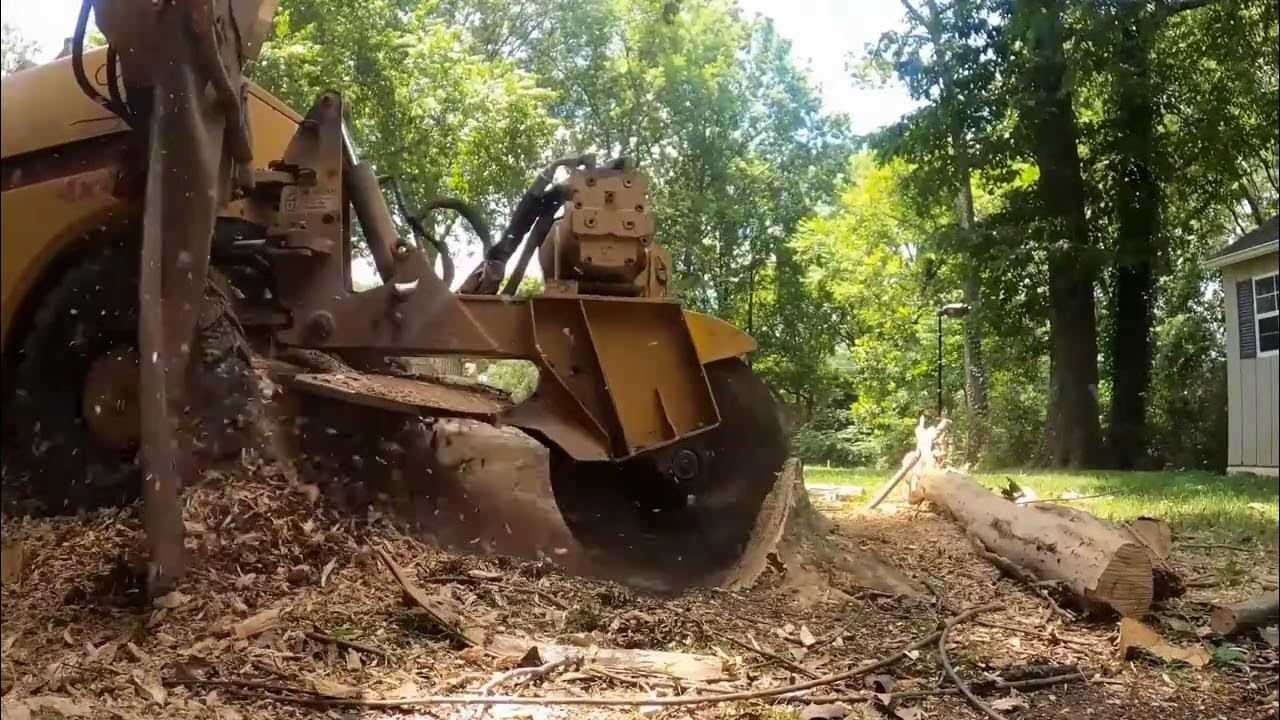 Stump Grinding a Crepe Myrtle Stump in Huntsville YouTube
