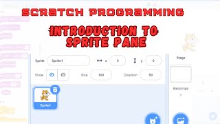 Celebrity 04. Sprite Pane || Properties of sprite || scratch Tutorial Net Worth