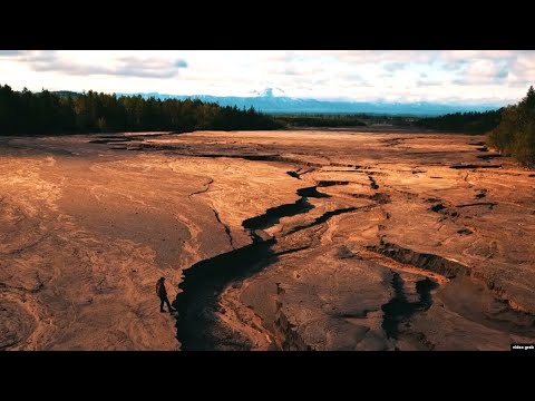 Video: Net jei supranti, kad tavimi manipuliuojama, tu nesąmoningai paklūsti