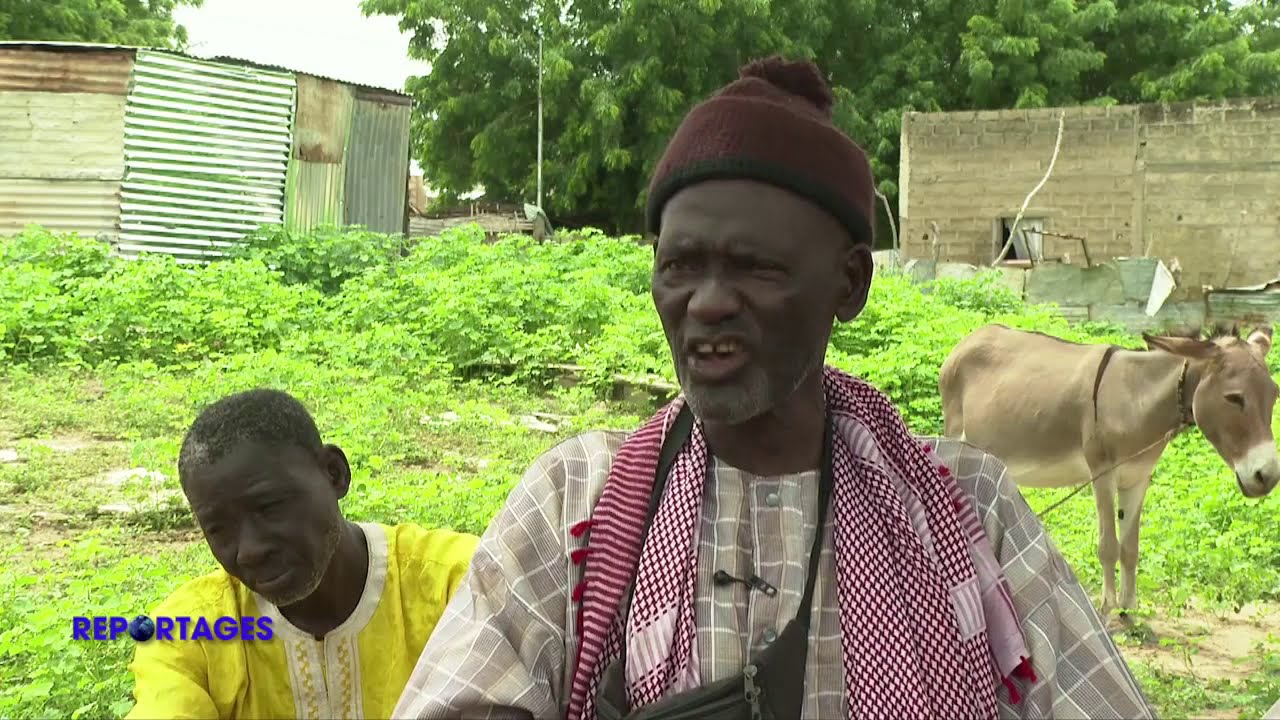 iTV: Grand Reportage - Gandiaye, ses mystères, son histoire, ses traditions...