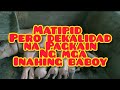 Paano ba makakatipid sa pagkain ng mga inahing baboy