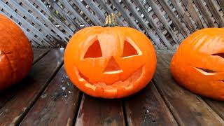 Pumpkin Smash 2019